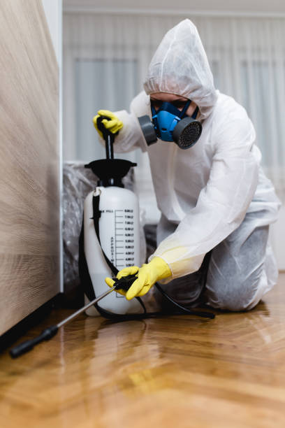 Best Pest Prevention Services  in Henderson, LA